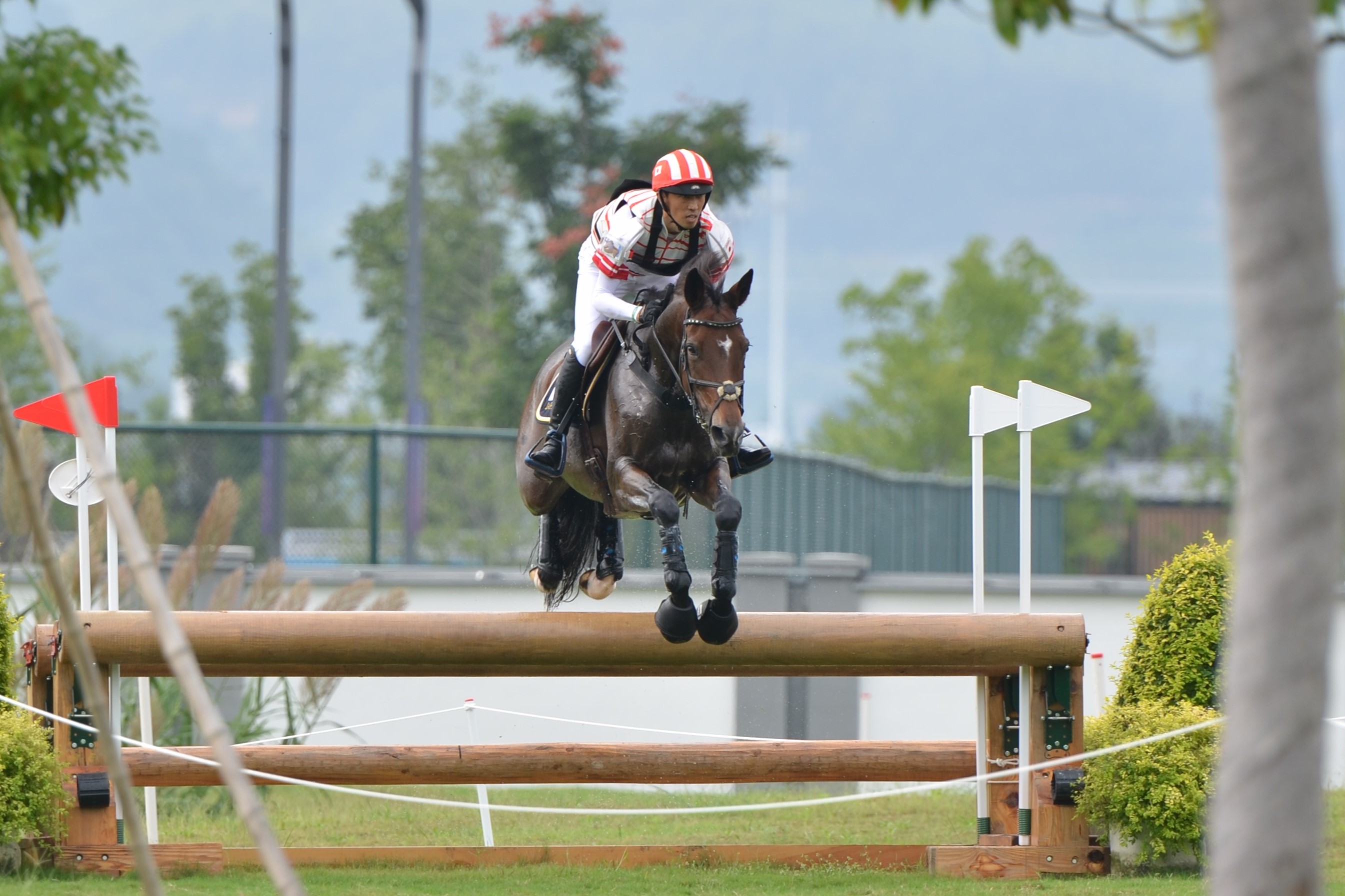 杭州アジア大会》10月1日レポート 公益社団法人 日本馬術連盟 《Japan